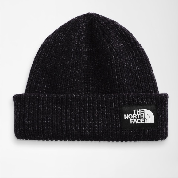 The North Face Other - The North Face Salty Beanie NEW